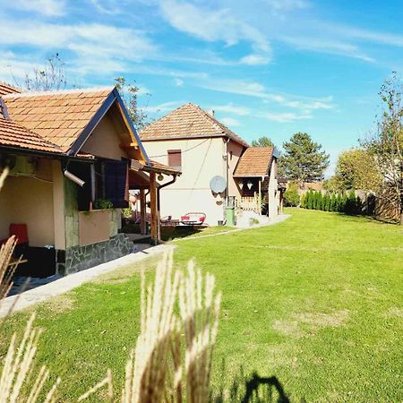 Villa Dvor Donja Toponica Esterno foto