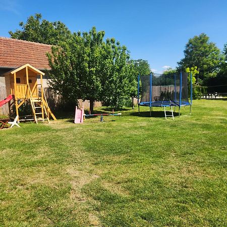 Villa Dvor Donja Toponica Esterno foto