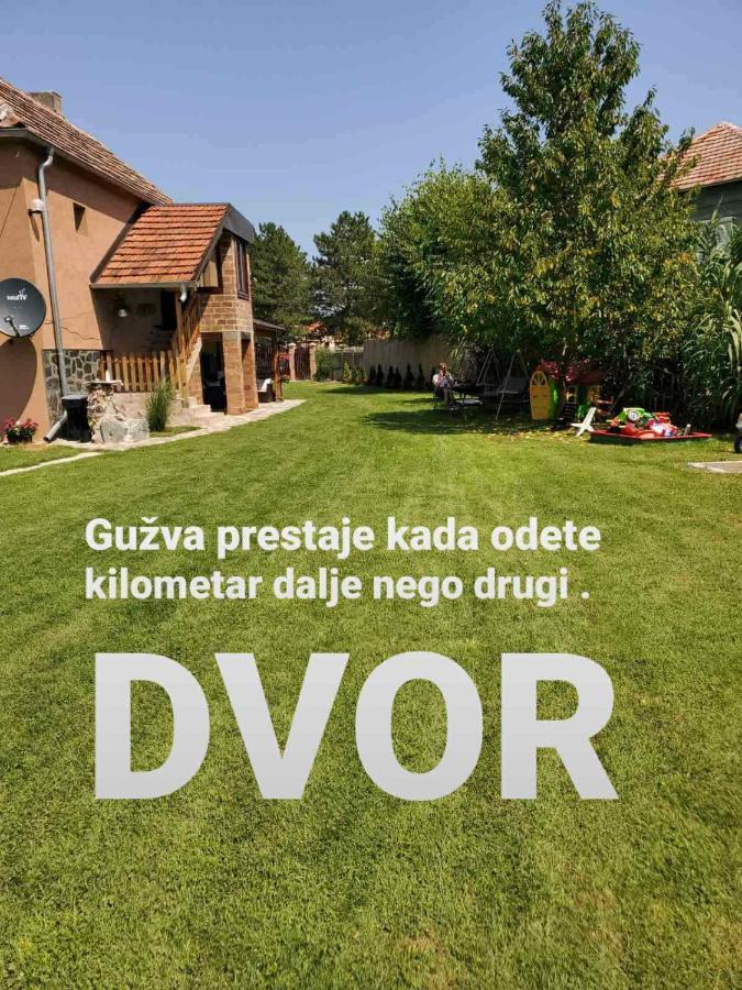 Villa Dvor Donja Toponica Esterno foto