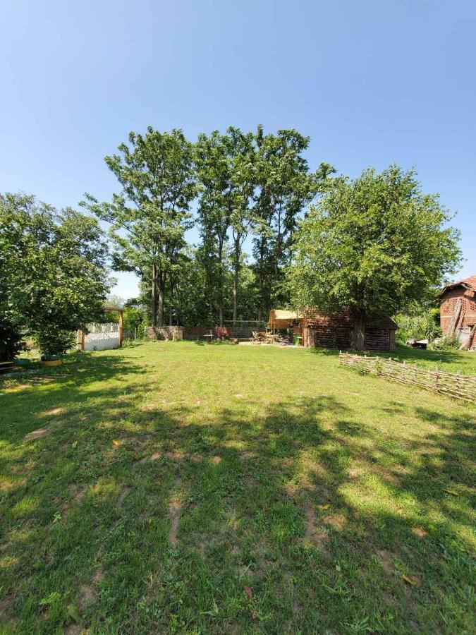 Villa Dvor Donja Toponica Esterno foto