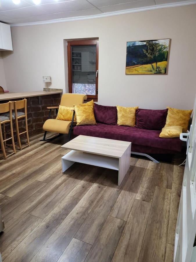 Villa Dvor Donja Toponica Esterno foto