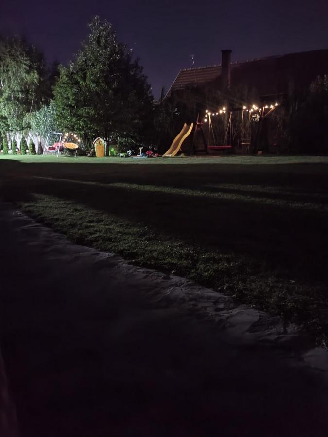 Villa Dvor Donja Toponica Esterno foto