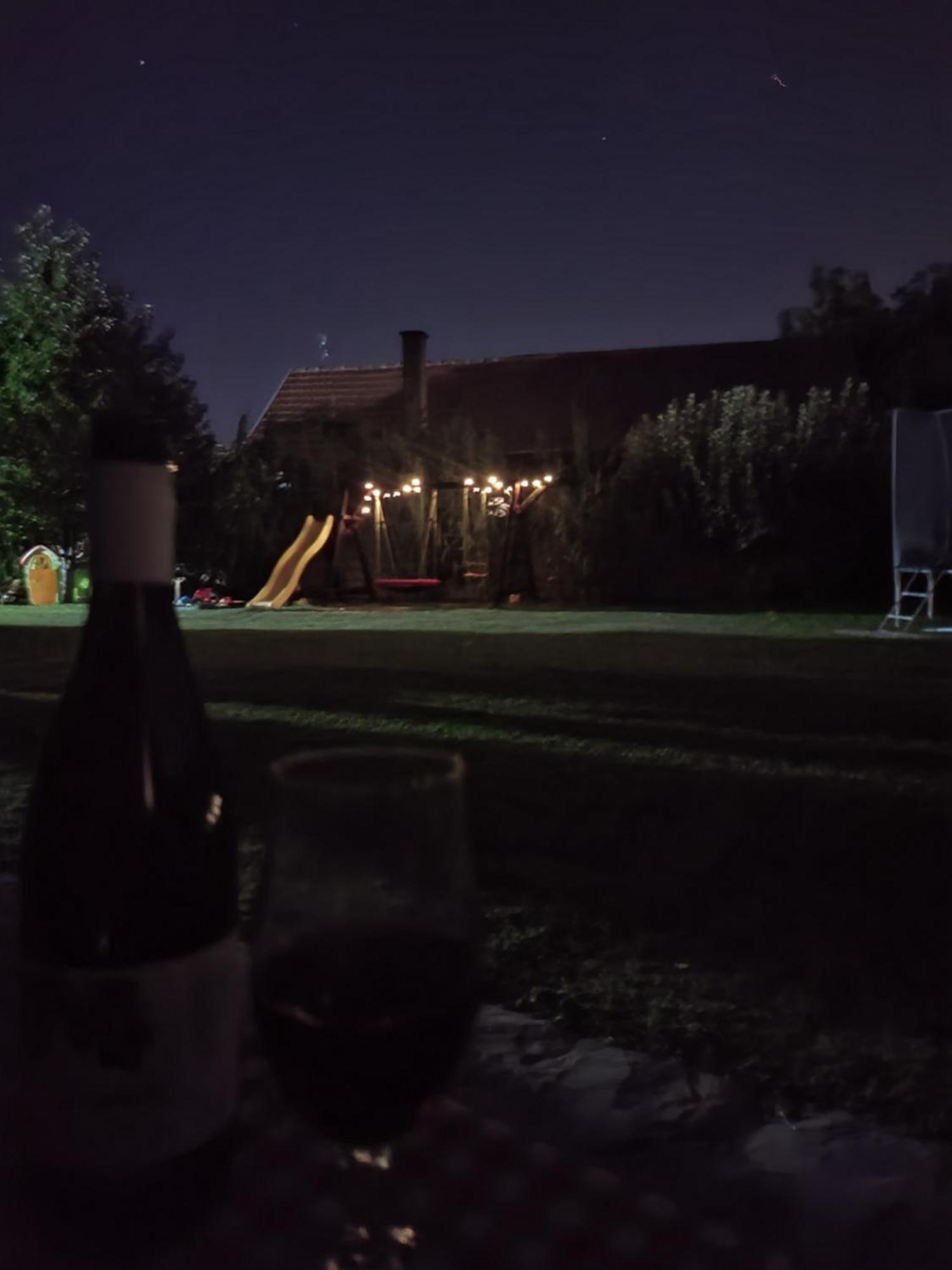 Villa Dvor Donja Toponica Camera foto