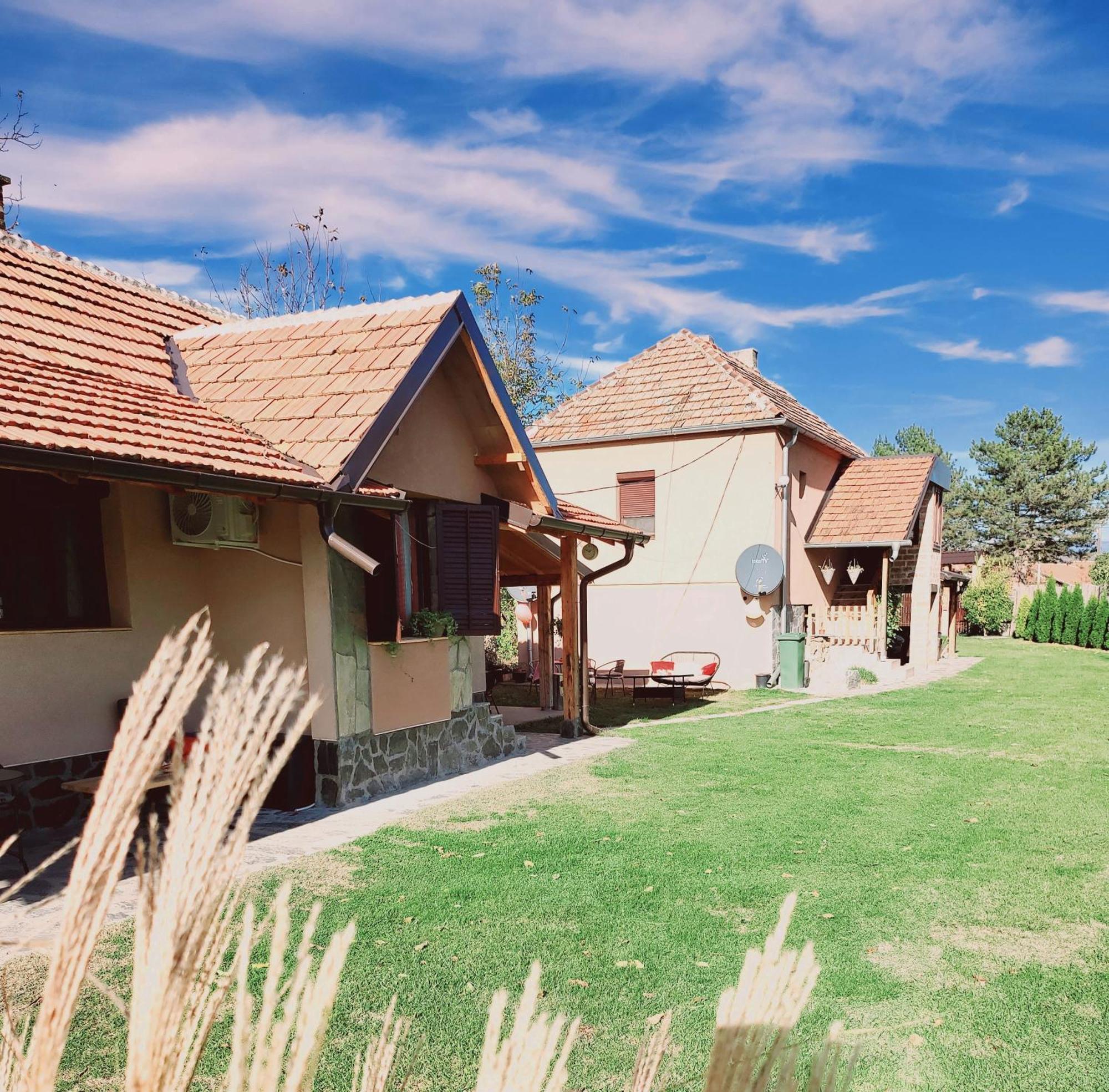 Villa Dvor Donja Toponica Esterno foto