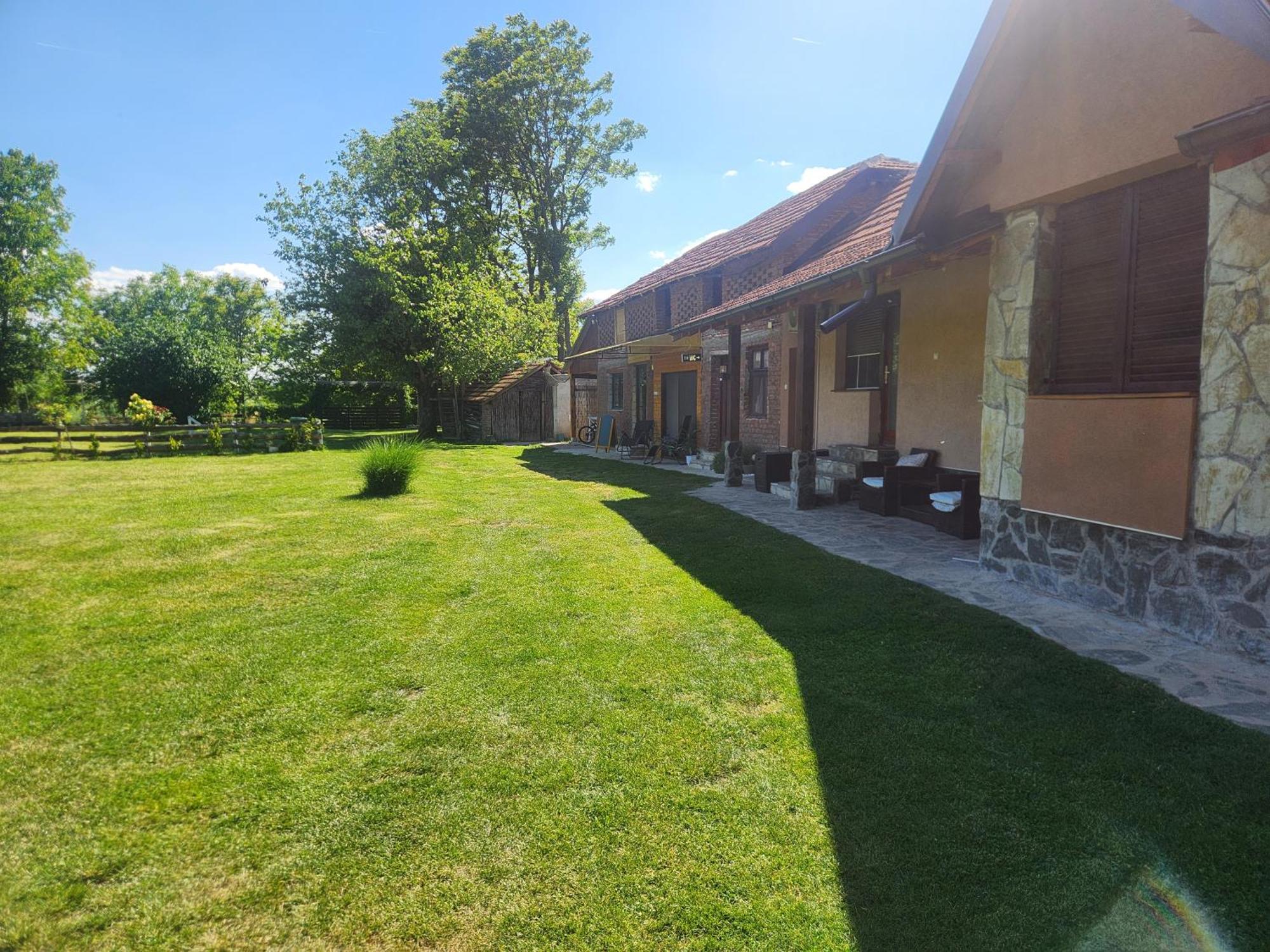 Villa Dvor Donja Toponica Esterno foto