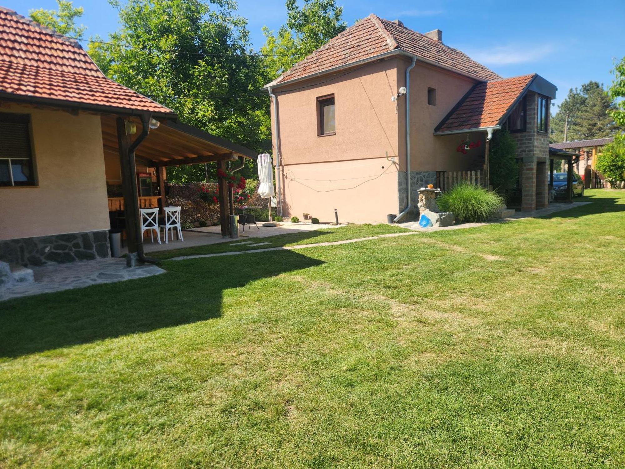 Villa Dvor Donja Toponica Esterno foto