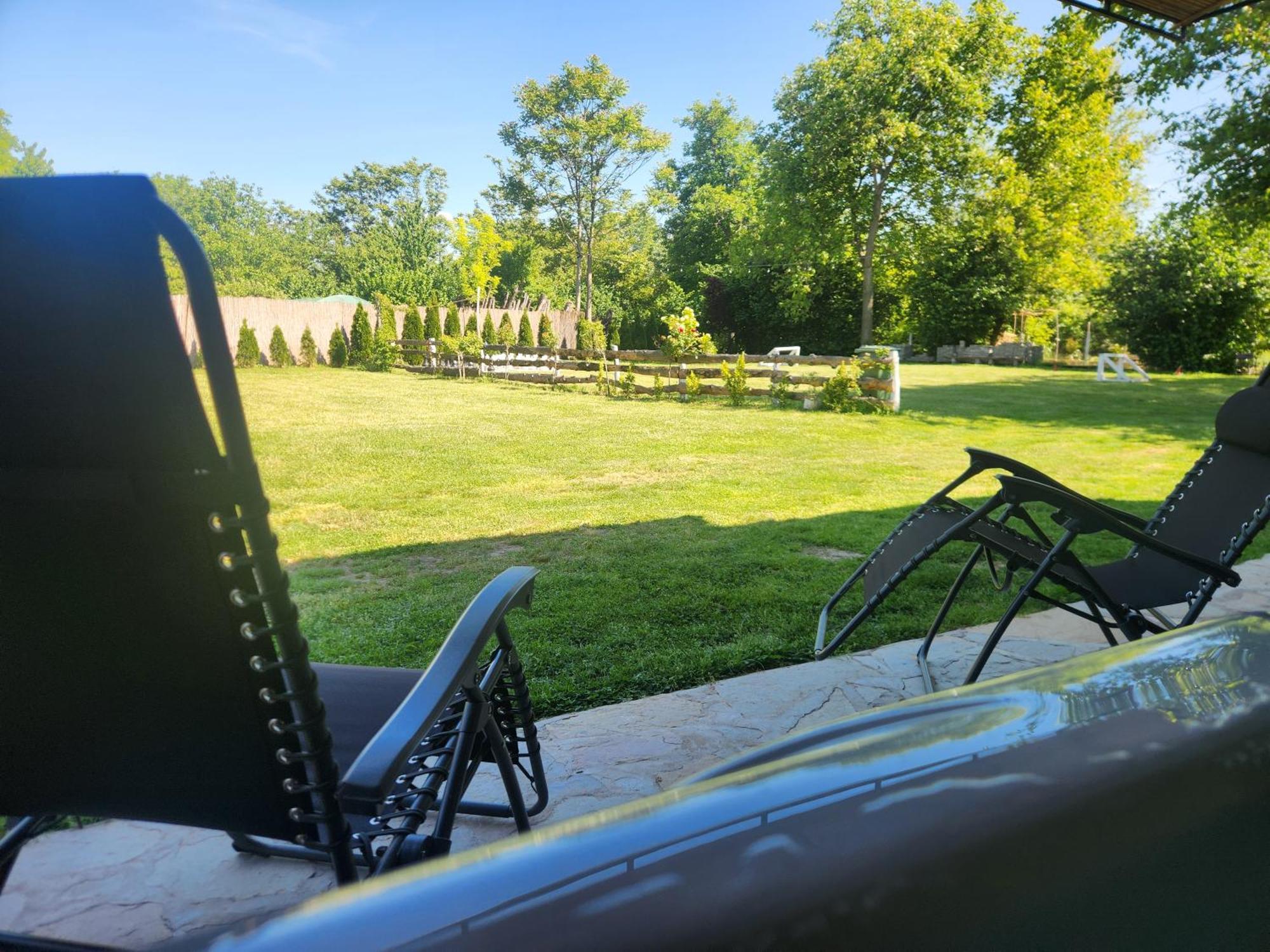 Villa Dvor Donja Toponica Esterno foto
